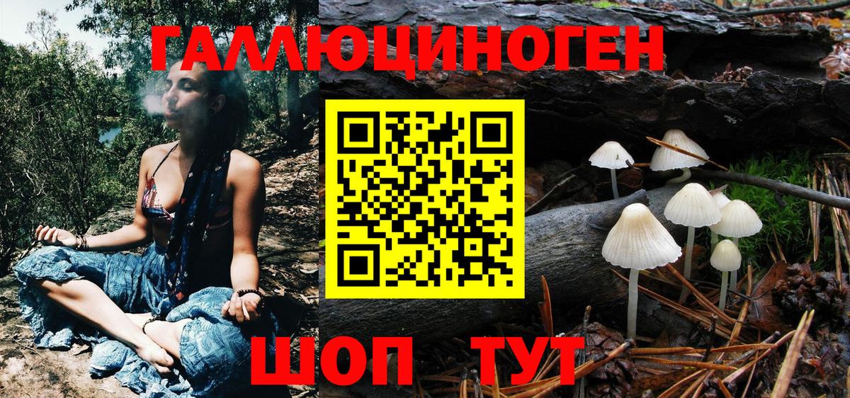 Галлюциногенные грибы MAGIC MUSHROOMS  Вход с VPN  Кубинка 