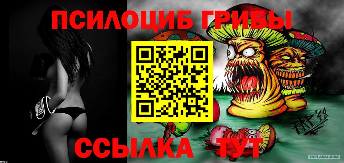 Псилоцибиновые грибы GOLDEN TEACHER Кубинка